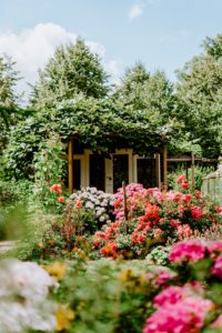 comment créer un jardin anglais