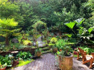 comment créer un jardin exotique sous nos climats