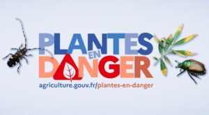 Plantes en danger