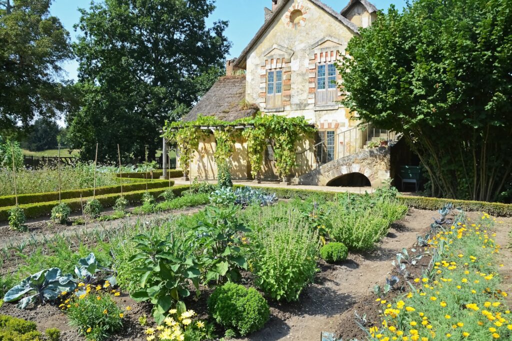 Que faire au jardin en automne potager