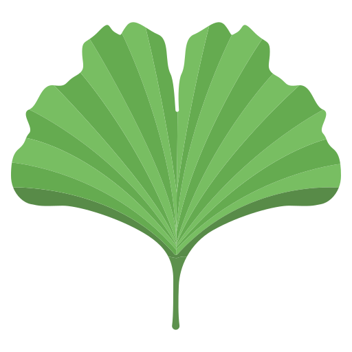 Feuille ginkgo