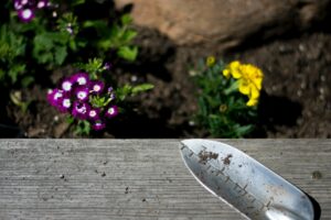Comment aménager son jardin - installation des plantes