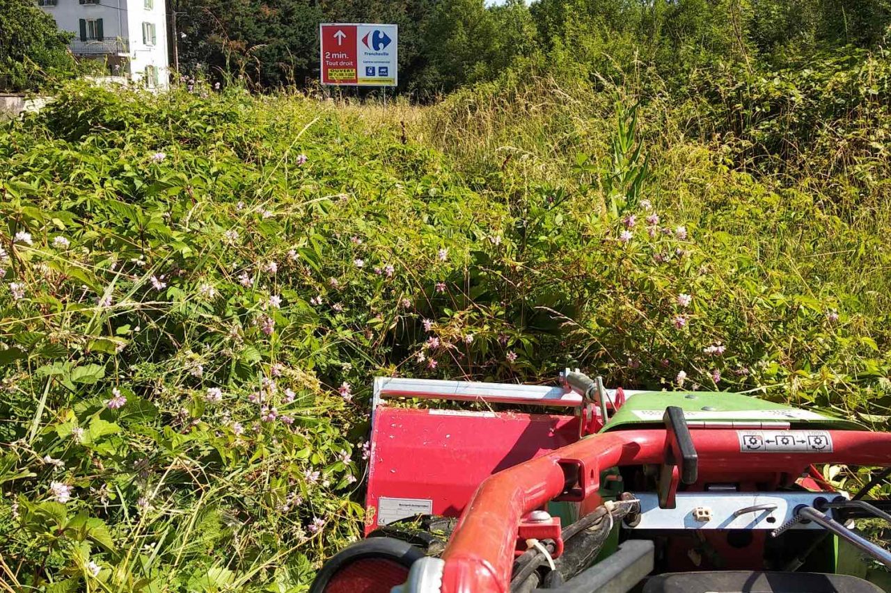 débroussaillage jardin ouest lyonnais