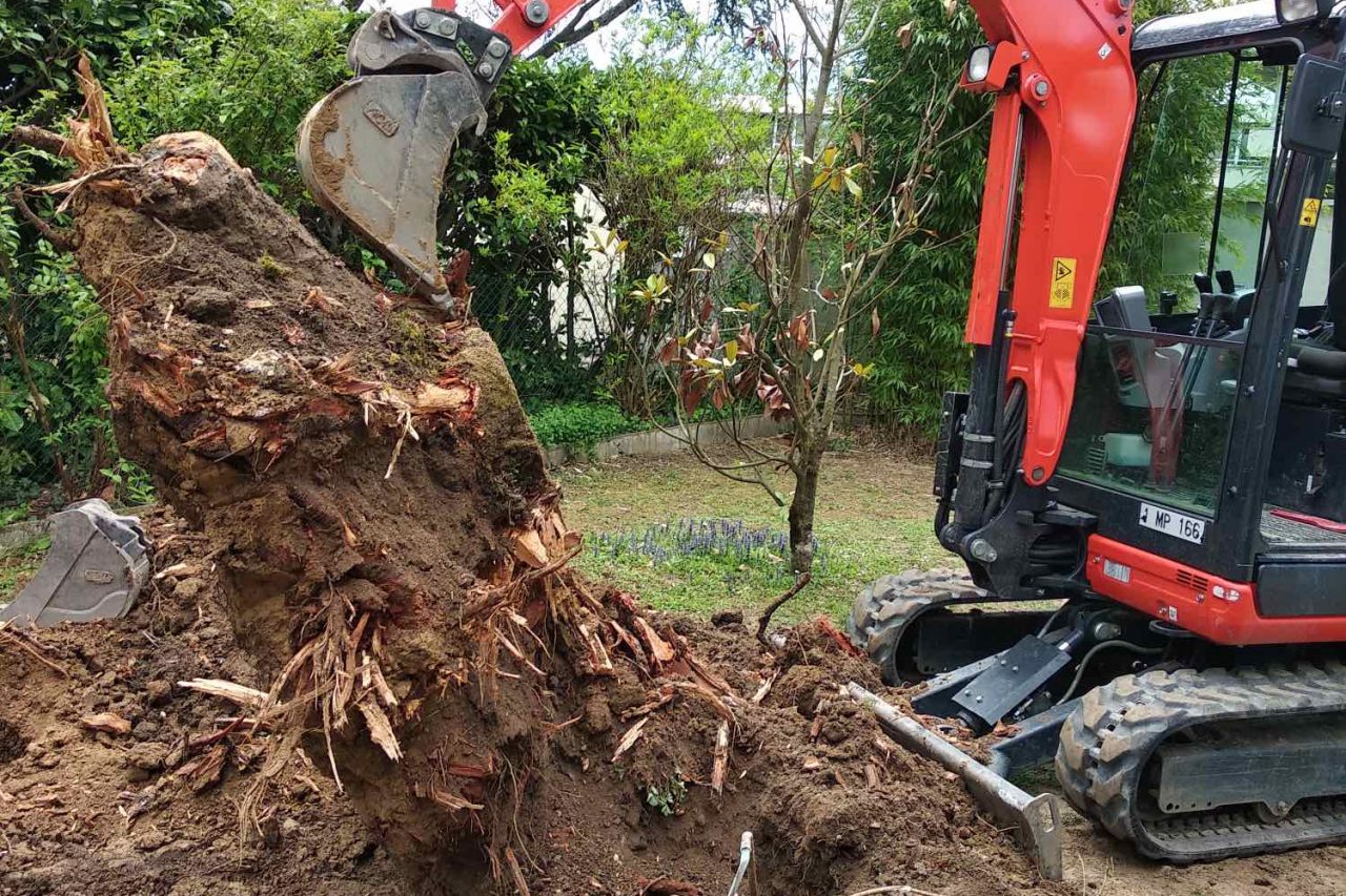 dessouchage arbre ouest lyonnais enlèvement souche lyon