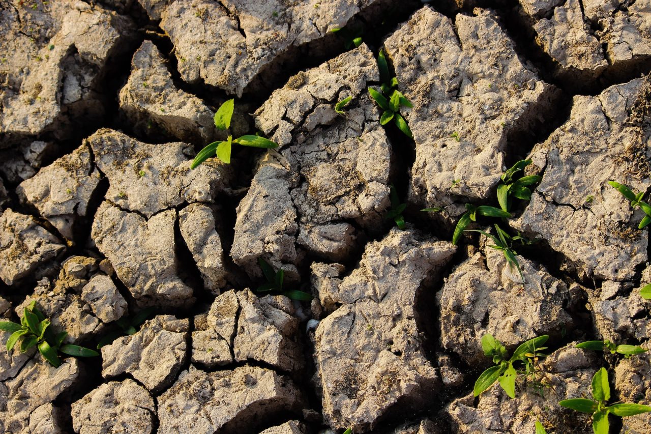 sécheresse gestion de l'eau jardins