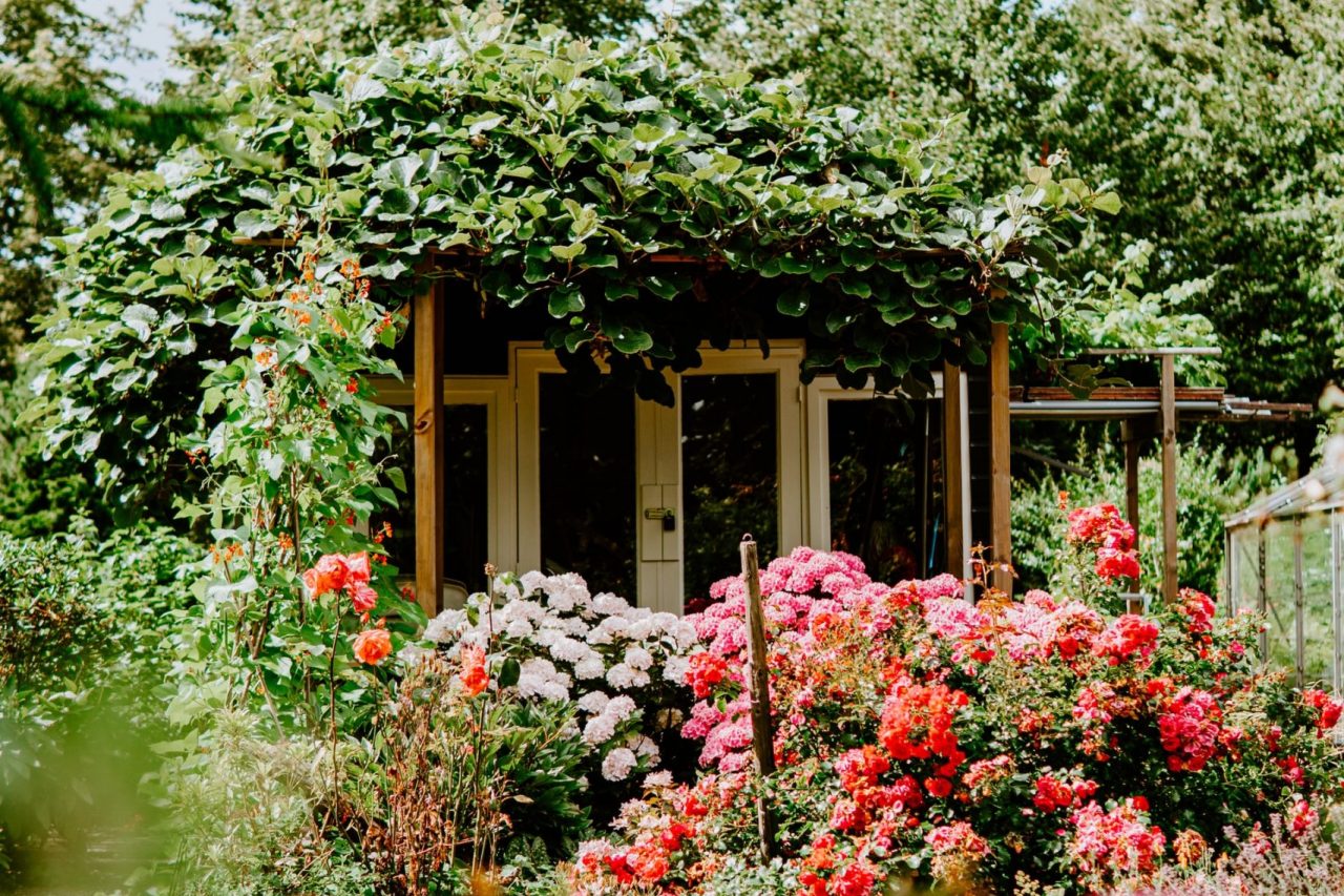 comment créer un jardin anglais