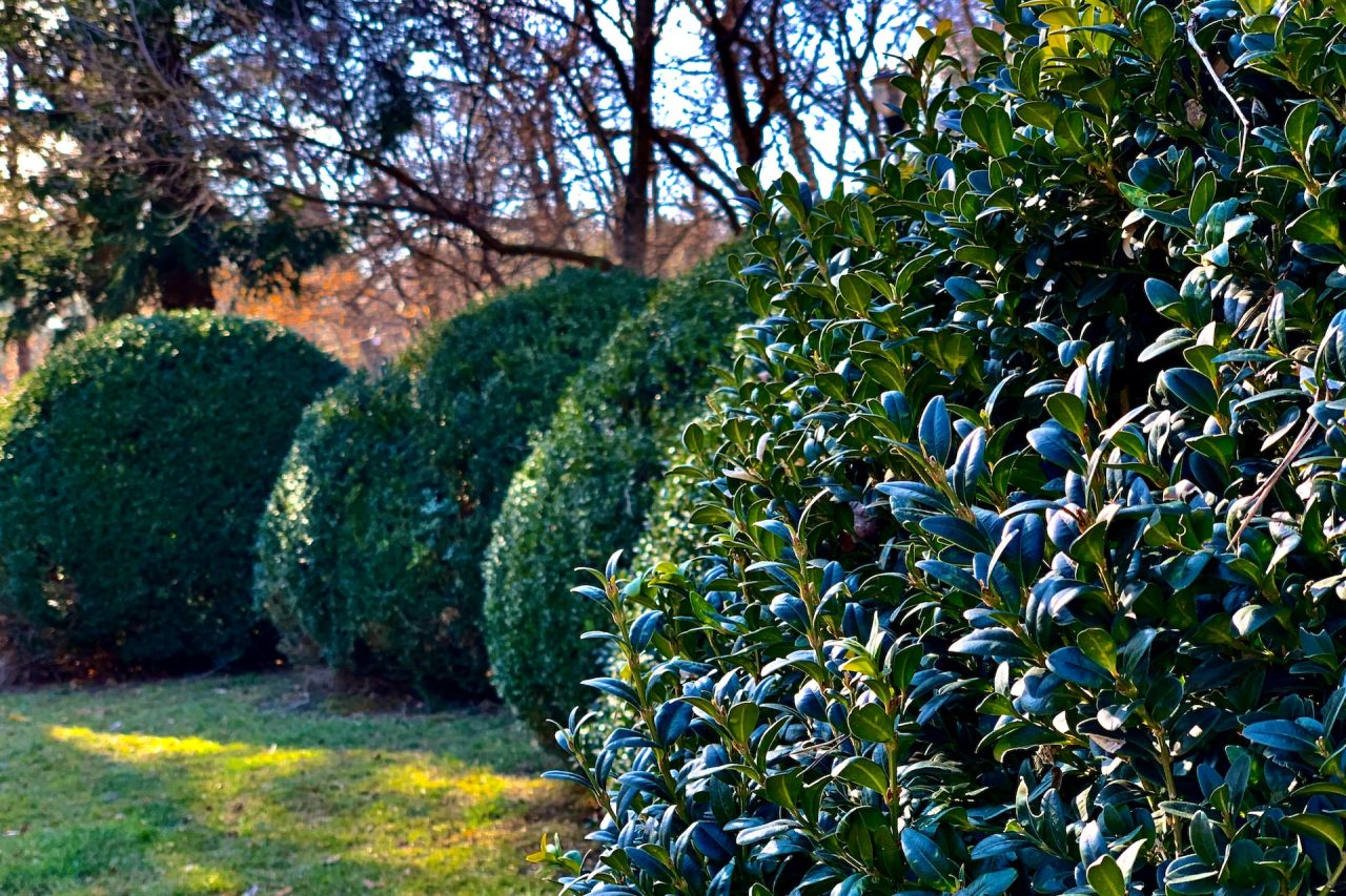 Que faire au jardin en automne