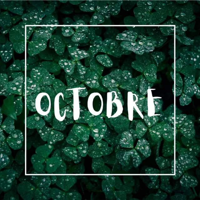 Et vous, qu’allez-vous faire dans votre jardin en ce mois d’octobre ? 🍂🪴

On vous propose de découvrir ce qu’il est possible de faire en cette saison :

La taille de la plupart de vos végétaux : Haies et arbustes.

La plantation des arbustes en conteneurs.

Le nettoyage de votre jardin : Débroussaillage, ratissage, soufflage des feuilles, etc.

L’aération de votre pelouse ainsi que la dépose d’engrais et de semis.

L’aménagement paysager de votre extérieur (création de massif, butte, terrain de pétanque, etc.).

#franckplanetpaysage #gardening #landscapers_of_instagram #terrasse #paysagiste #jardin #terrassebois #paysagisme #amenagementjardin #garden #gardendesign #paysagisteconcepteur #paysagistelyon #jardinier #amenagementexterieur #amenagementpaysager #paysagistelyon