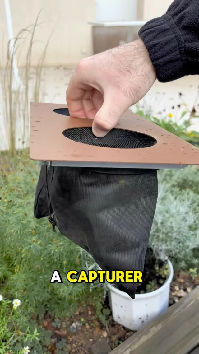 Il n’y a plus de moustiques en octobre ? ⬇️

Malheureusement si, selon les températures et avec les fortes précipitations les moustiques vont encore proliférer quelques semaines 🦟

Pour réduire la nuisance dans votre espace de vie extérieur, optez pour une borne anti moustiques !

#franckplanetpaysage #paysagistelyon #paysagiste #landscapers_of_instagram #landscapersofinstagram #lawncarebusiness #amenagementpaysager #borneantimoustique #maboiteamoustique #mosquito #mosquitodefense