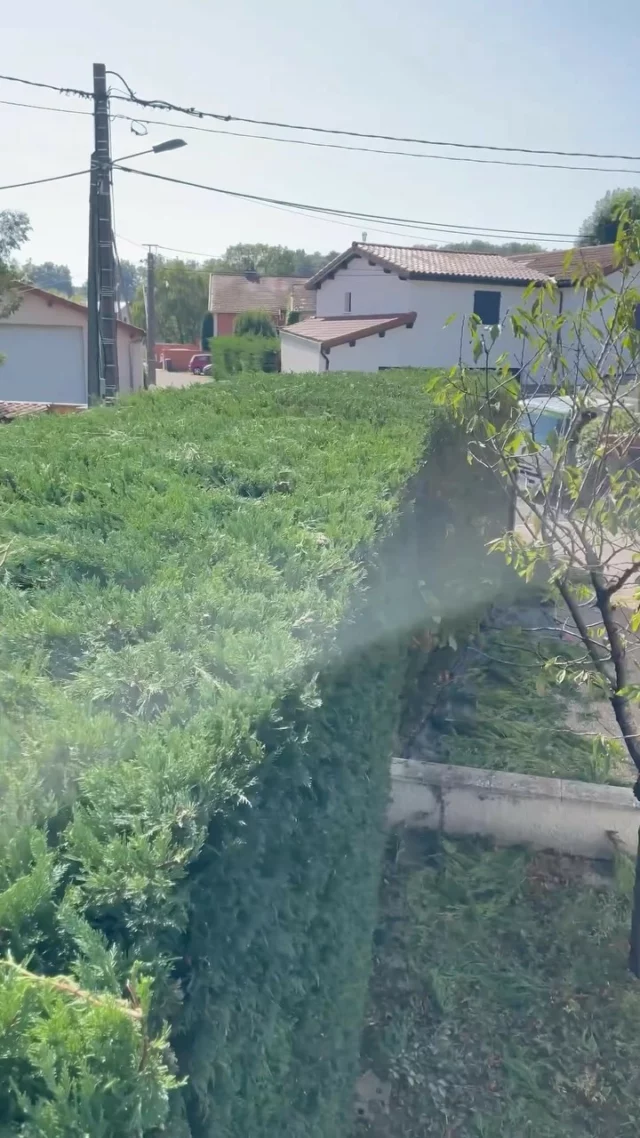 Taille de l’ensemble des haies périphériques de ce jardin qui en avait bien besoin ✂️🏡

#franckplanetpaysage #paysagistelyon #paysagiste #landscapers_of_instagram #landscapersofinstagram #landscaperslife #gardenmaintenance #hedge #hedgetrimming #hedgetrimmer #stihl #tailledehaie