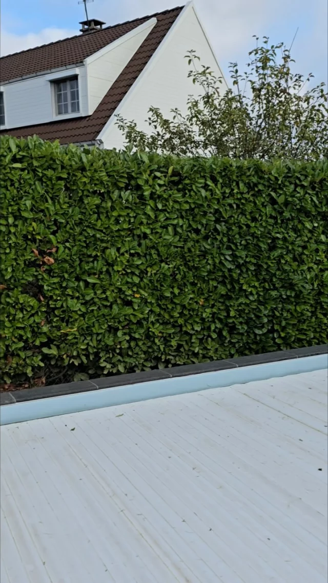Taille de haie de laurier pour finir la semaine ✂️🌱
Toujours avec notre gamme électrique @stihl 

#franckplanetpaysage #paysagistelyon #paysagiste #landscapers_of_instagram #landscapersofinstagram #landscaperslife #entretienjardin #jardinier #jardinierpaysagiste #hedgetrimming #hedgetrimmer #stihl