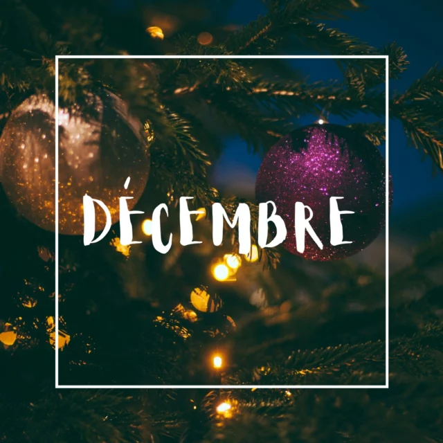 Et vous, qu’allez-vous faire dans votre jardin en ce mois de décembre ? ❄️
⠀
On vous propose de découvrir ce qu’il est possible de faire en cette saison :
⠀
La taille de vos arbres fruitiers et d'ornement ainsi que vos haies et arbustes.
⠀
La plantation des arbustes en conteneurs, mais également en motte ou racines nues.
⠀
Le nettoyage de votre jardin : Débroussaillage, ratissage, soufflage des feuilles, etc.
⠀
L’aménagement paysager de votre extérieur (création de massif, butte, terrain de pétanque, etc.)

#franckplanetpaysage #gardening #landscapers_of_instagram #paysagiste #jardin #terrassebois #paysagisme #amenagementjardin #garden #decembre2024  #jardinierpaysagiste  #paysagistelyon #jardinier #amenagementexterieur #amenagementpaysager #ideejardin